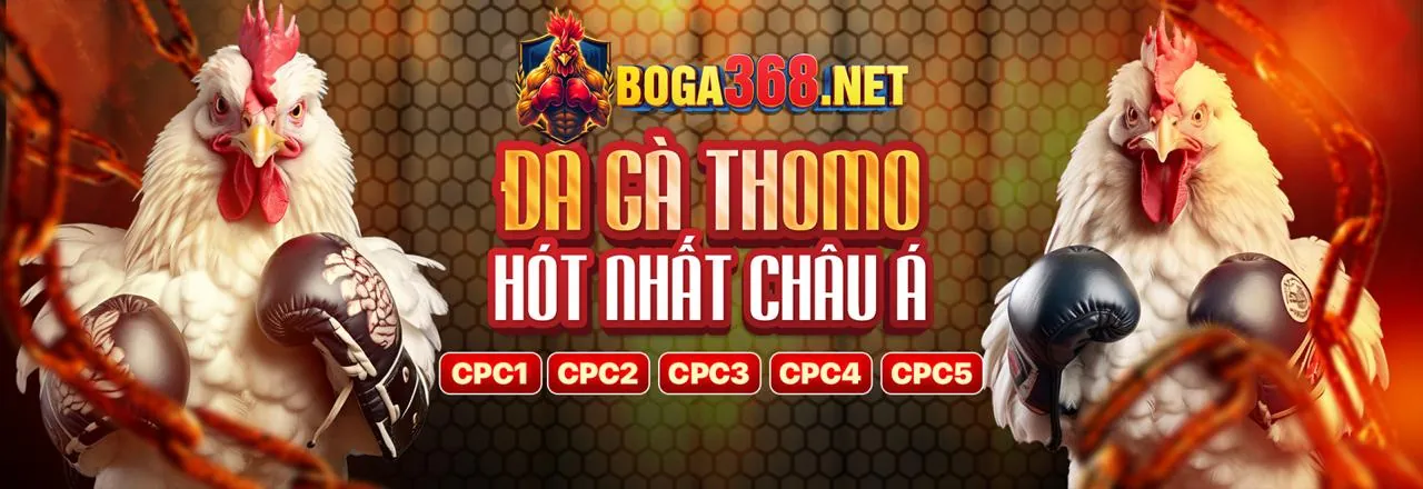 Tầm quan trọng của hướng dẫn dwin456