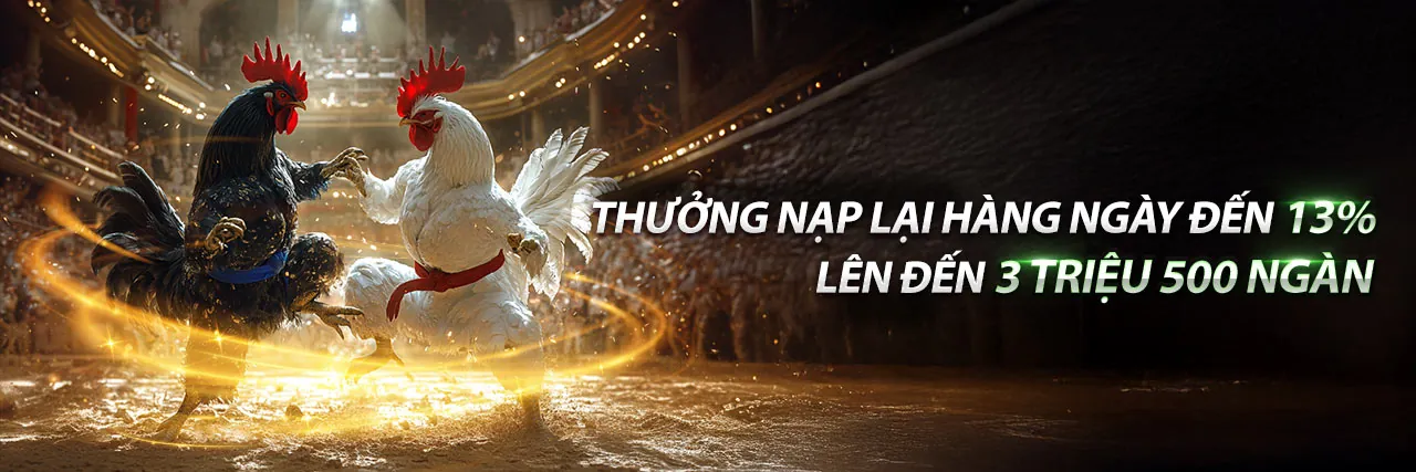 Hình ảnh ĐÁ GÀ trực tuyến sôi động tại dwin456 link vào