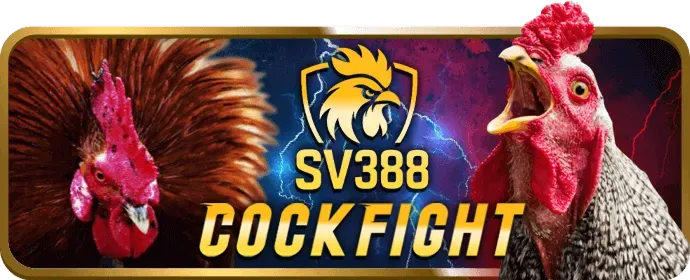 Chương trình hoàn trả hàng tuần tại dwin456 link vào